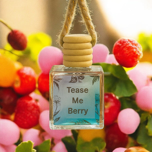 Tease me berry car freshie , air freshener Sofia’s Dream
